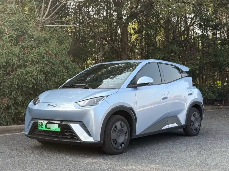 BYD Seagull, 2024