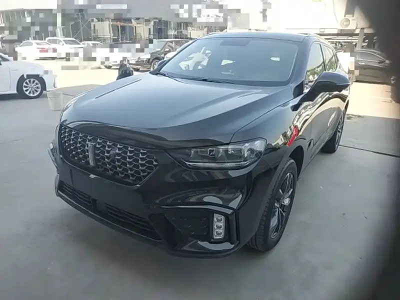 Wey VV5, 2020