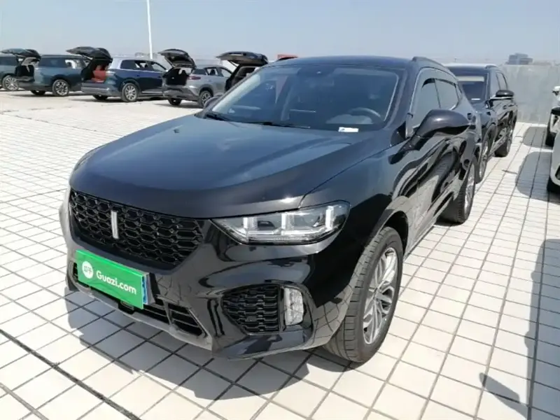 Wey VV5, 2018