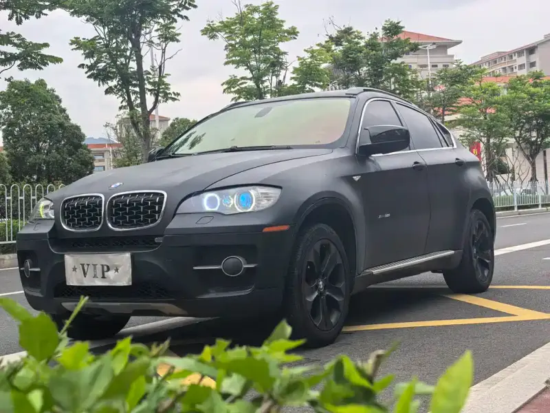 BMW X6, 2010