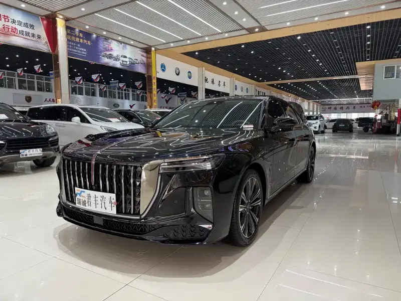 Hongqi H9, 2025 — фото 1