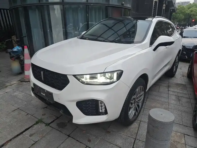 Wey VV5, 2018