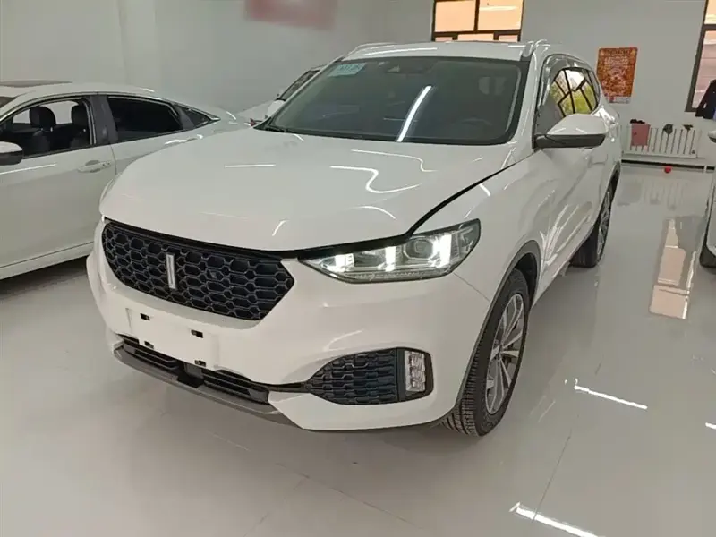 Wey VV6, 2019