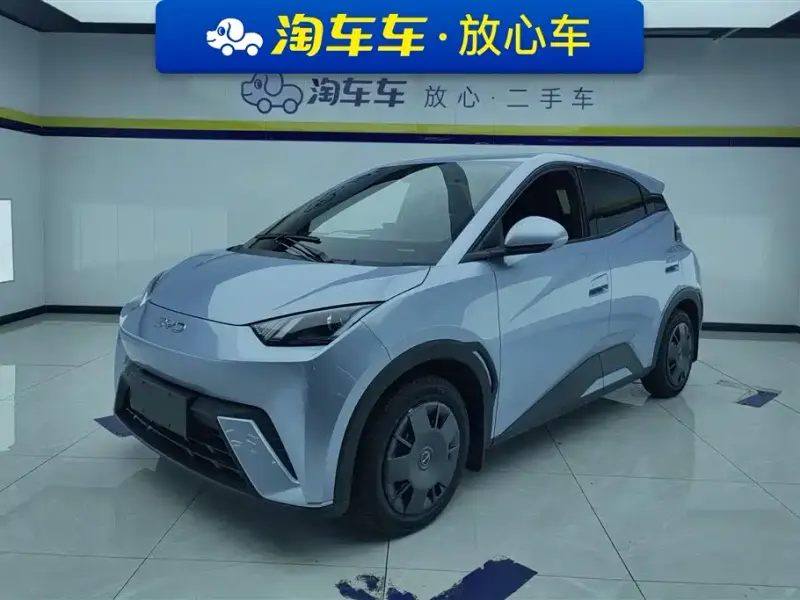 BYD Seagull, 2024