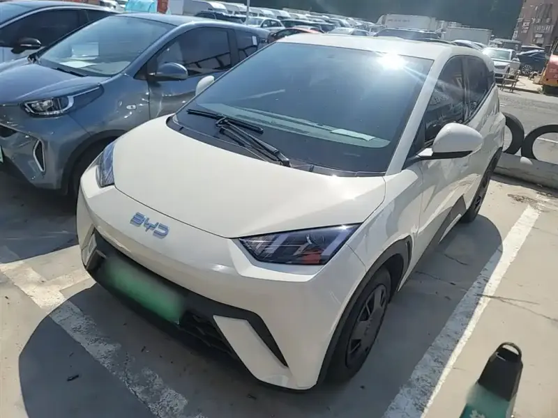 BYD Seagull, 2025