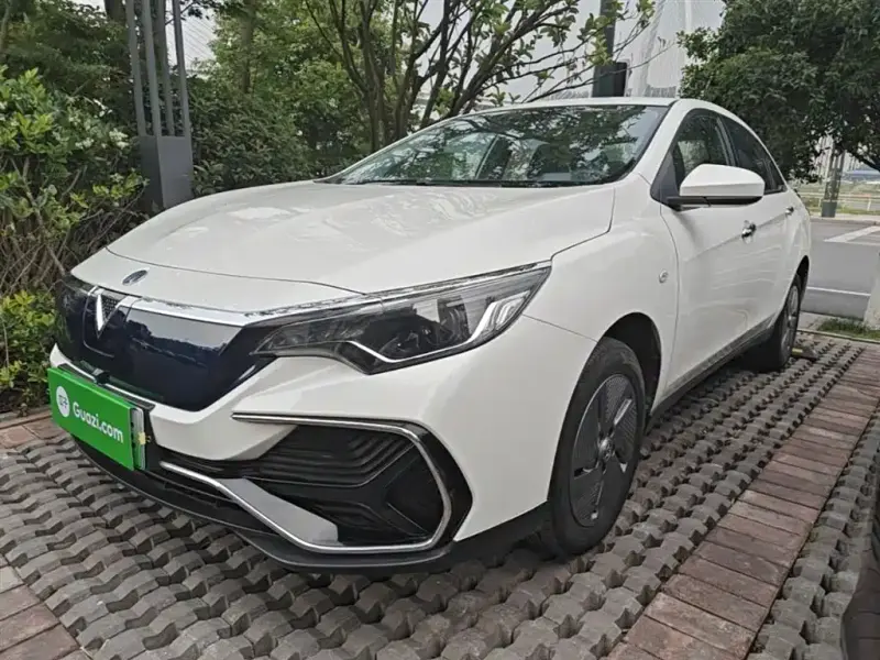 Venucia D60 EV, 2024