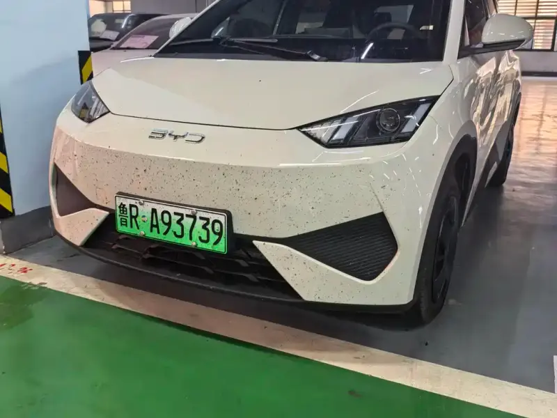 BYD Seagull, 2026
