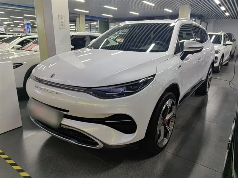 Denza X, 2020