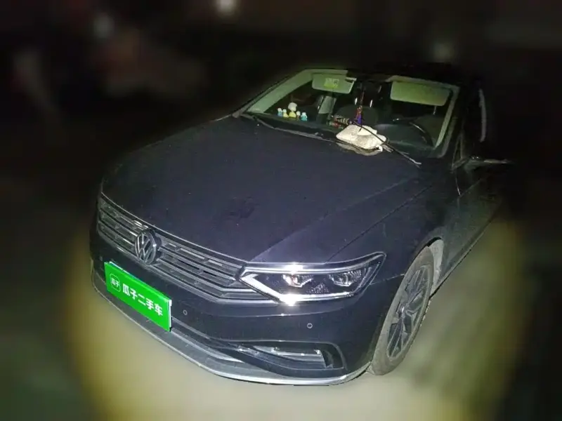 Volkswagen Magotan, 2020