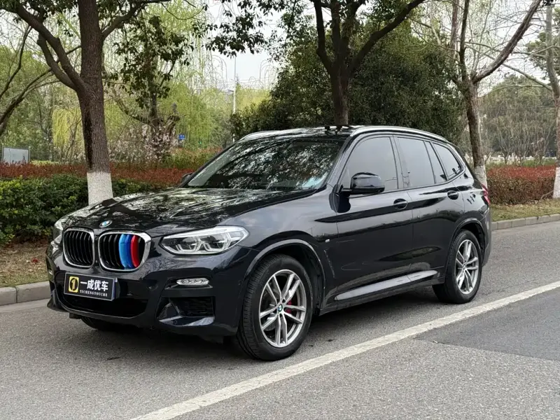 BMW X3, 2019 — фото 1
