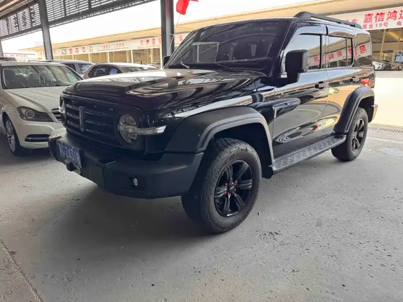 Tank 300, 2021