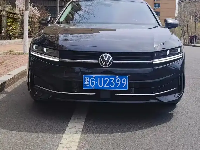 Volkswagen Magotan, 2024