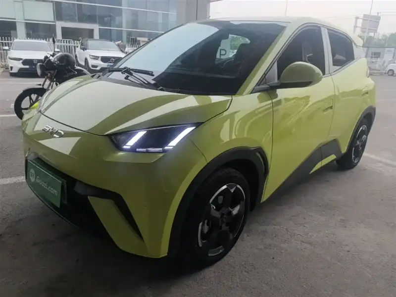 BYD Seagull, 2024
