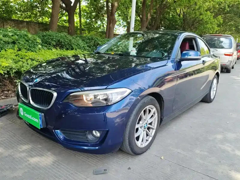 BMW 2 Series (Import), 2016 — фото 1