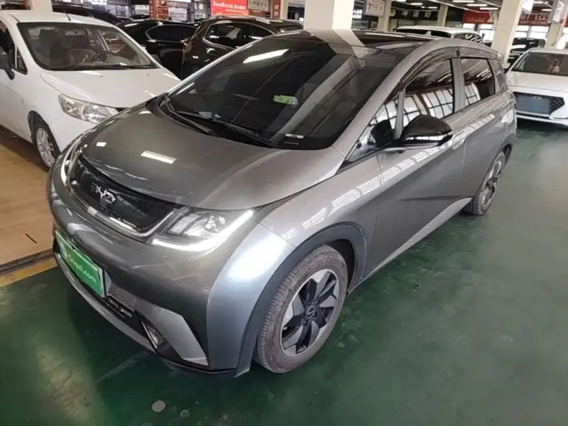 BYD Dolphin, 2024