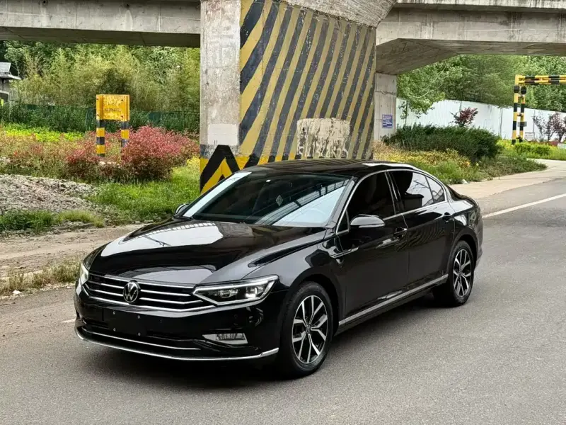 Volkswagen Magotan, 2021