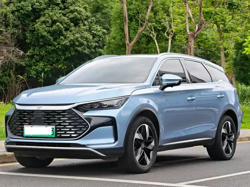 BYD Tang New Energy, 2024