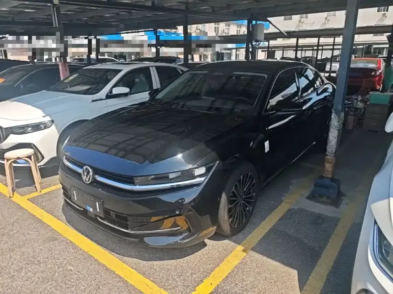 Volkswagen Magotan, 2024