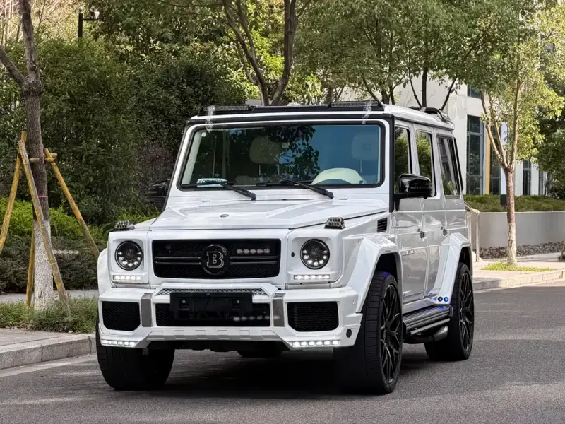 Mercedes-Benz G-Class, 2017 — фото 1