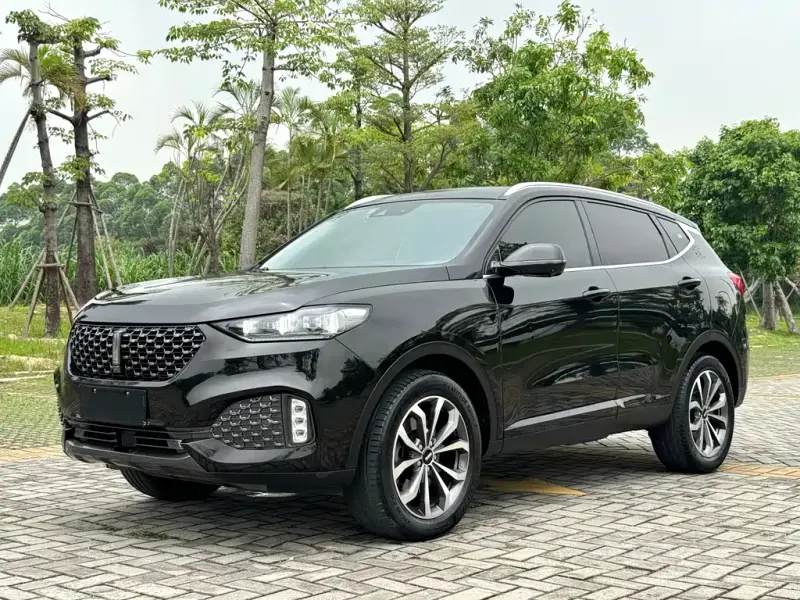 Wey VV6, 2020