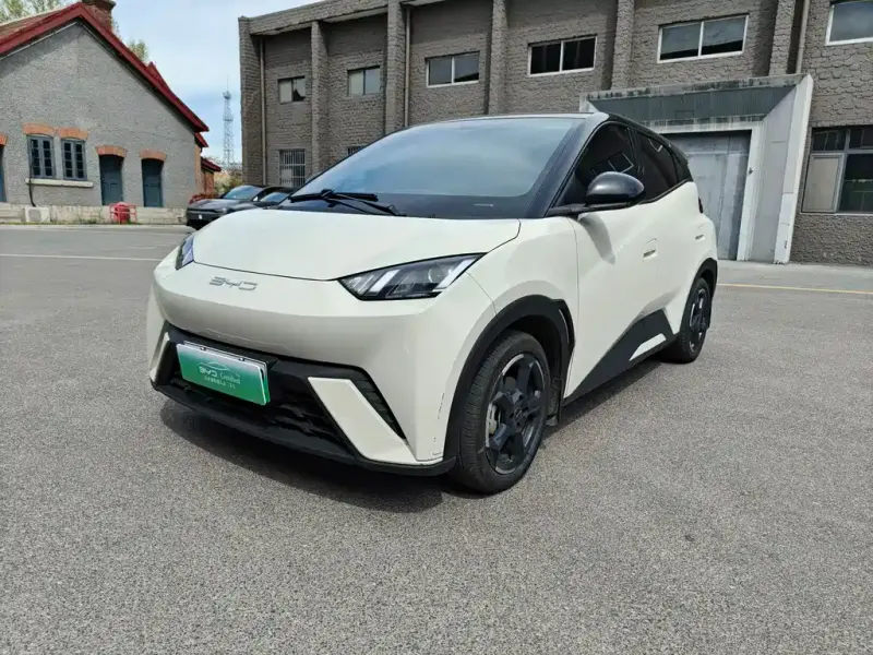 BYD Seagull, 2024