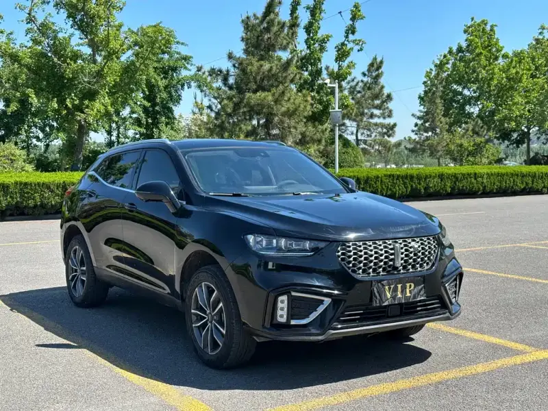 Wey VV5, 2021