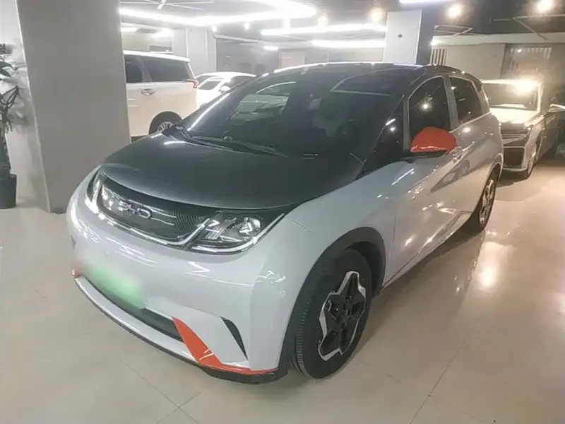 BYD Dolphin, 2022