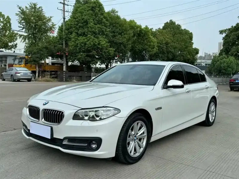 BMW 5 Series, 2016 — фото 1