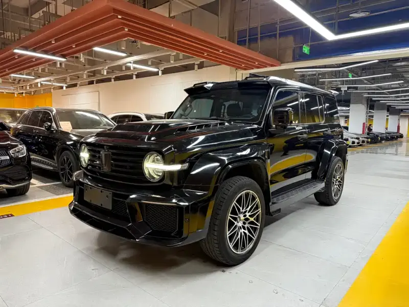Tank 300, 2021