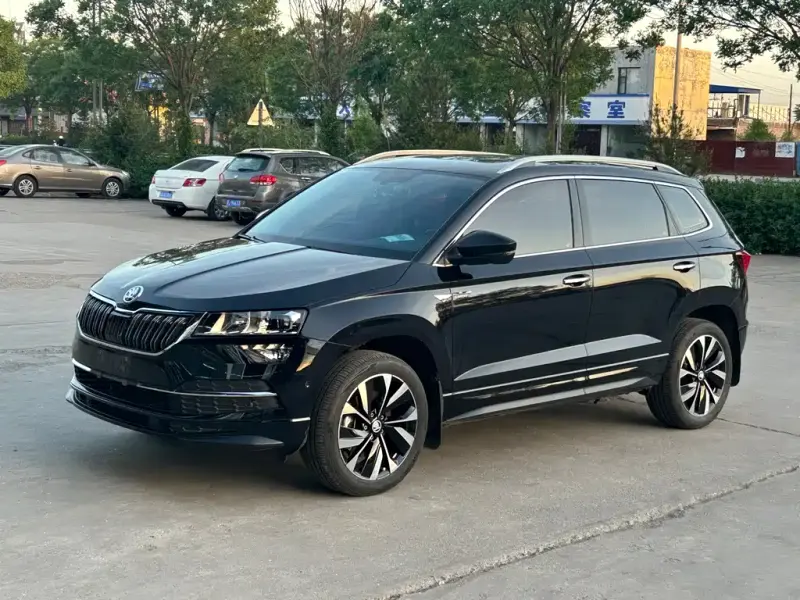 Skoda Karoq, 2023 — фото 1