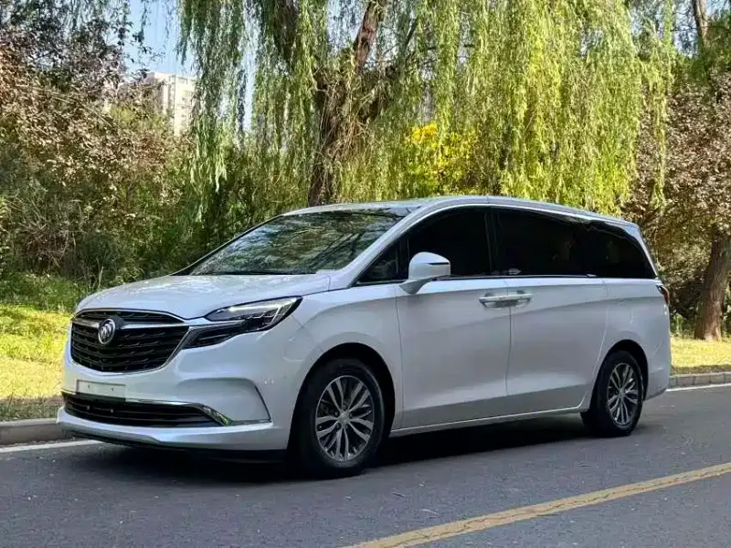 Buick GL8, 2020