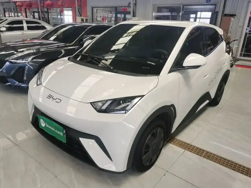BYD Seagull, 2025