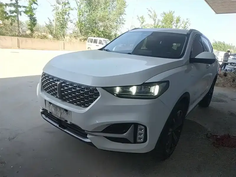 Wey VV6, 2021