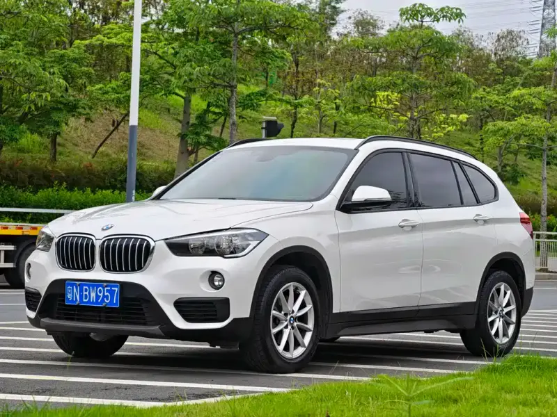 BMW X1, 2019 — фото 1