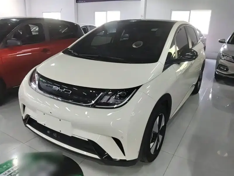 BYD Dolphin, 2024