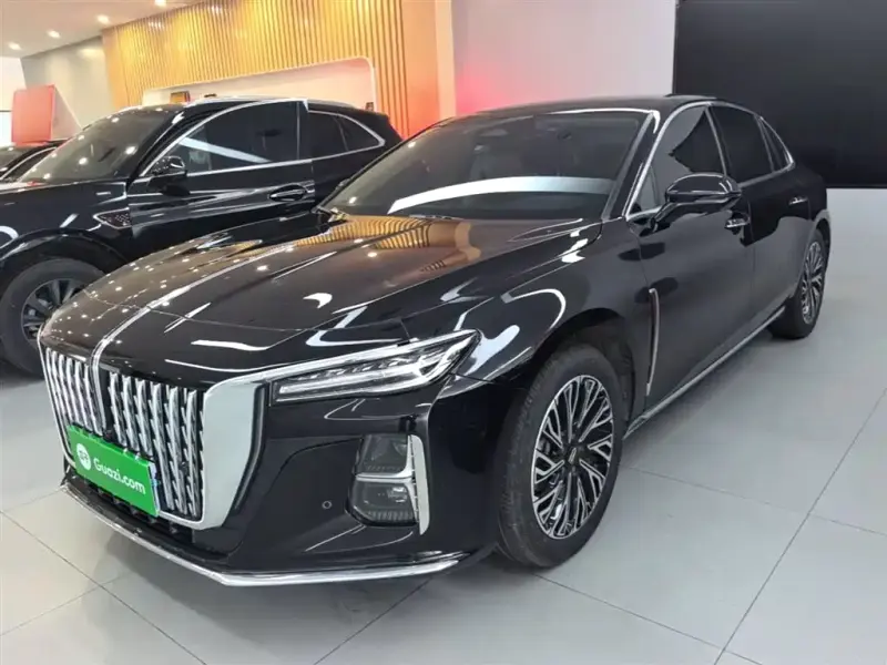 Hongqi H5, 2024