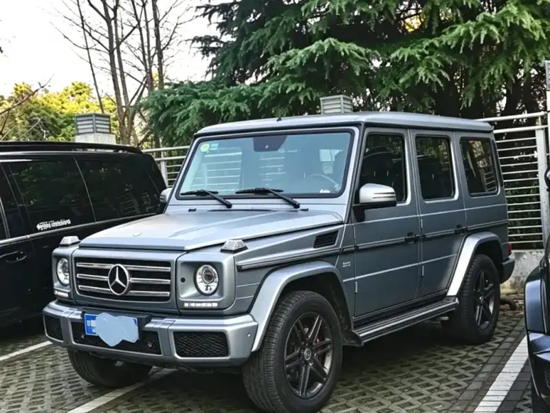 Mercedes-Benz G-Class, 2016 — фото 1