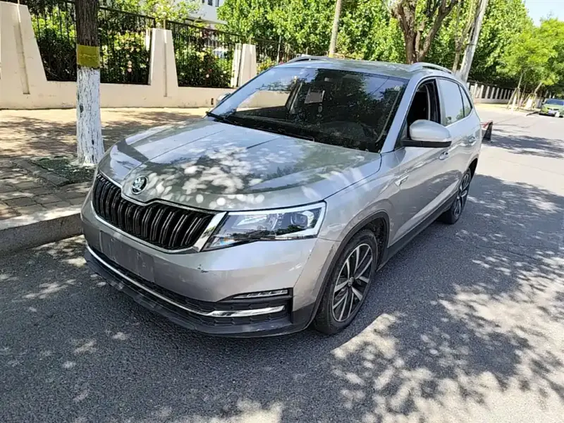 Skoda Kamiq, 2020