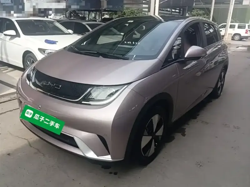 BYD Dolphin, 2023