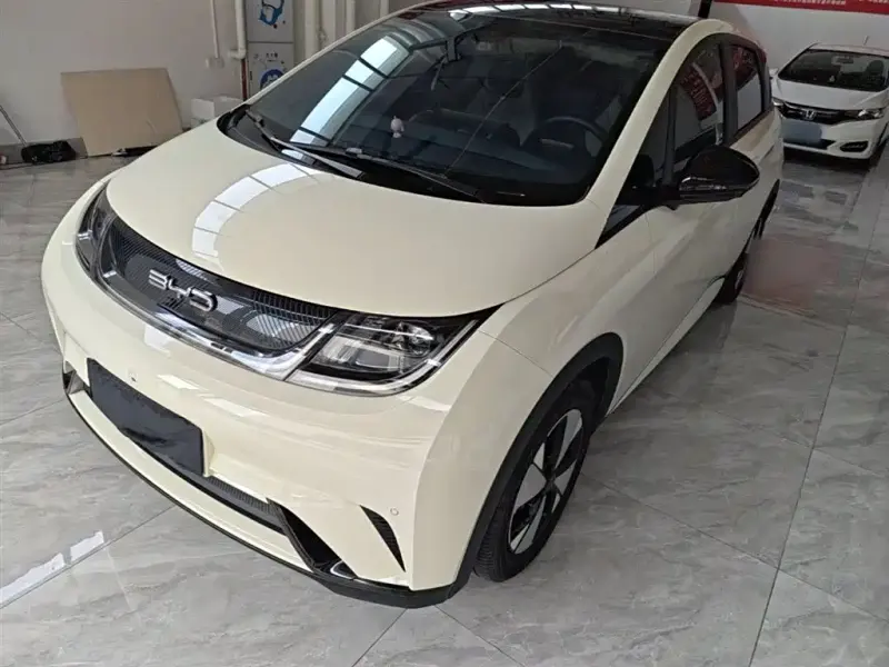 BYD Dolphin, 2024