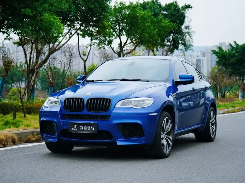BMW X6 M, 2013