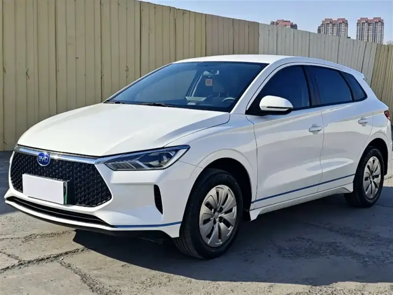 BYD e2, 2022
