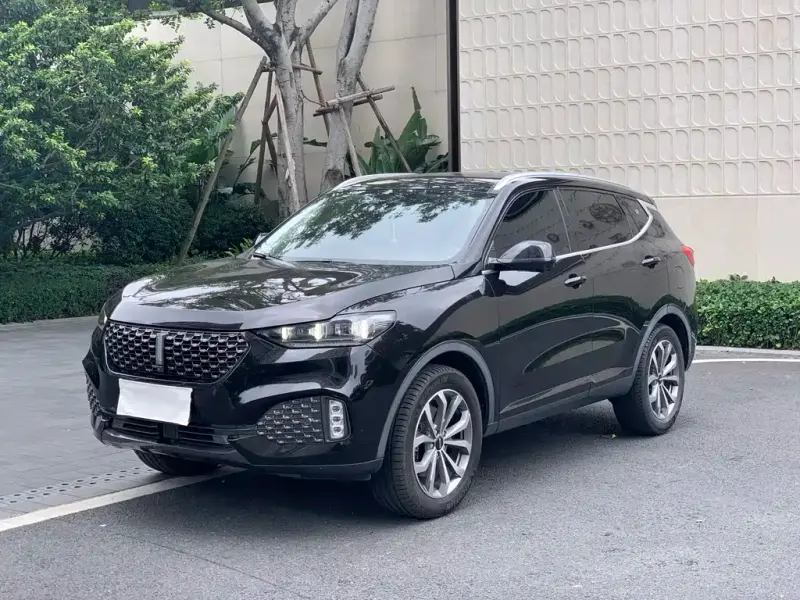 Wey VV6, 2020