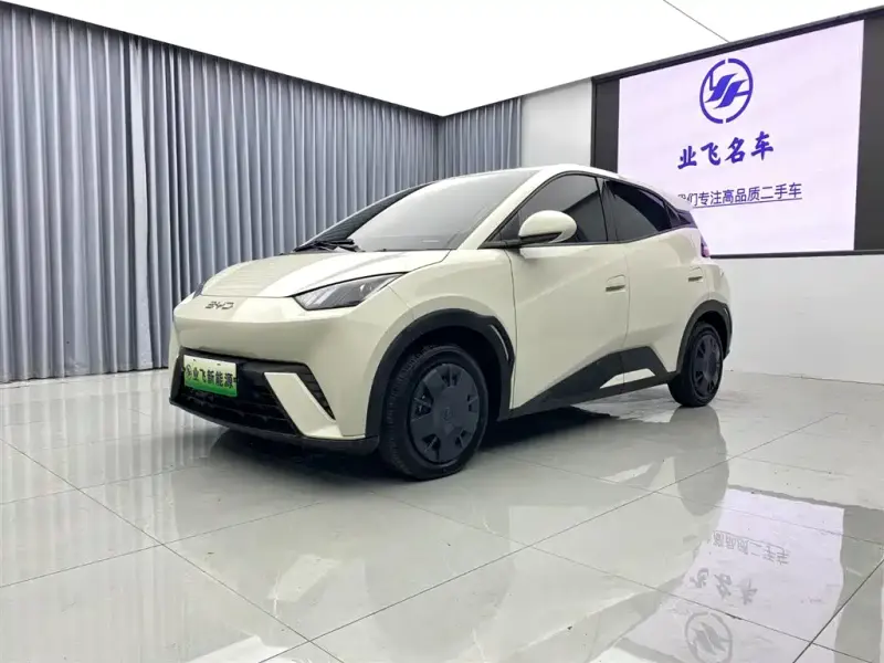 BYD Seagull, 2025