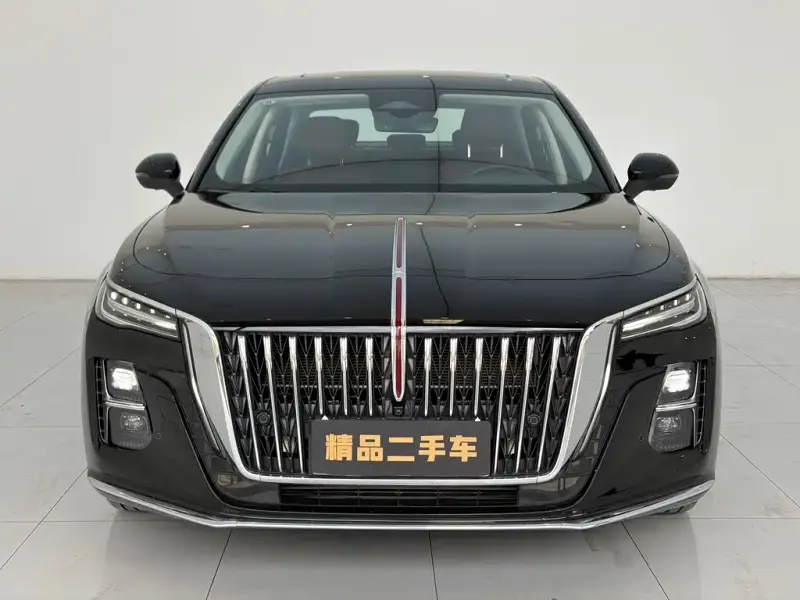 Hongqi H5, 2024