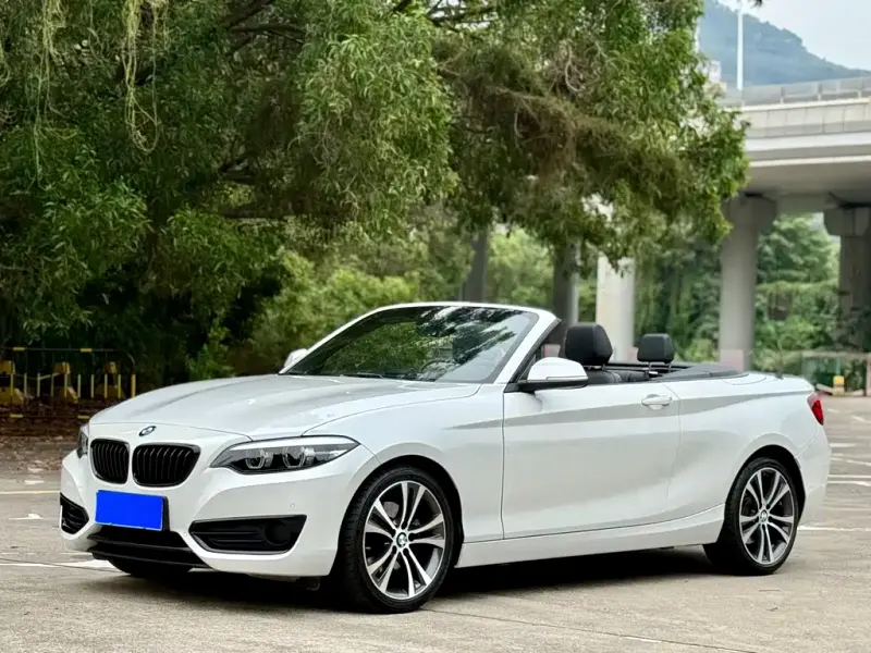 BMW 2 Series (Import), 2021 — фото 1