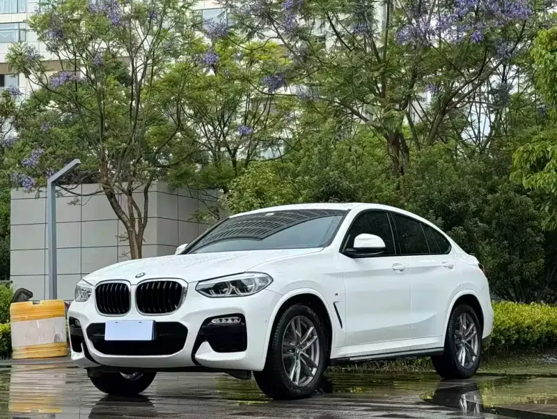 BMW X4, 2019 — фото 1