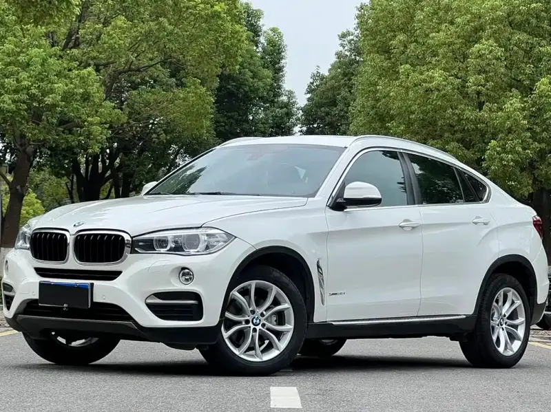 BMW X6, 2015 — фото 1