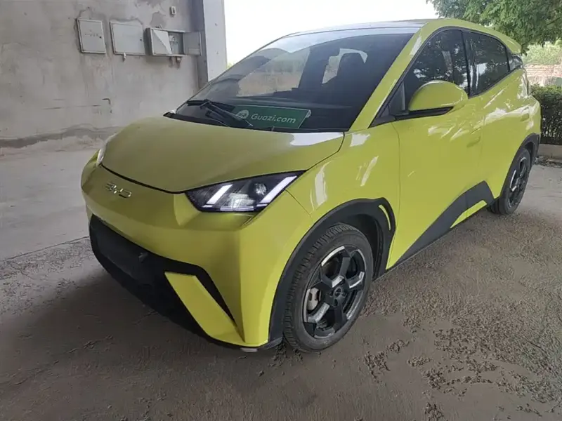 BYD Seagull, 2023