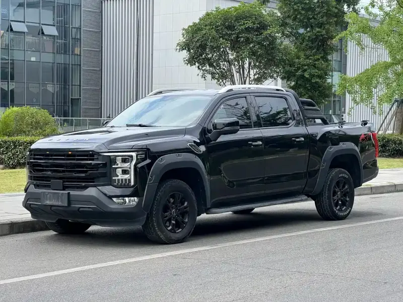 Foton Mars, 2024